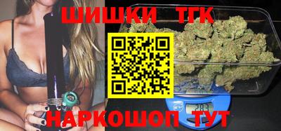 МДПВ Кингисепп
