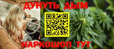 МДПВ Кингисепп