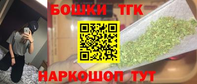 МДПВ Кингисепп