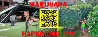 стаф Кинель